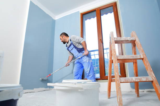 Best Mold Remediation for Healthcare Facilities  in Boulder Hl, IL