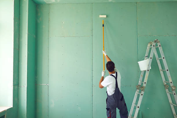 Best HVAC Mold Inspection and Cleaning  in Boulder Hl, IL