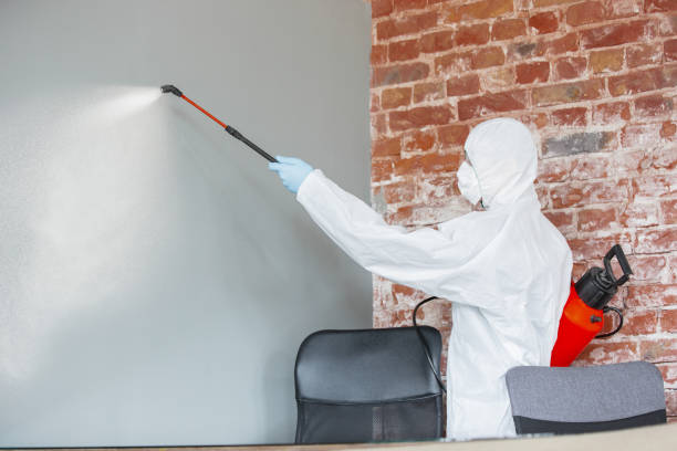  Boulder Hl, IL Mold Removal Pros