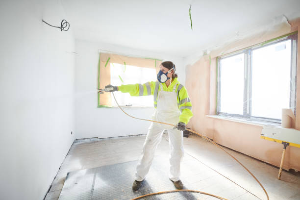 Best Attic Mold Removal  in Boulder Hl, IL