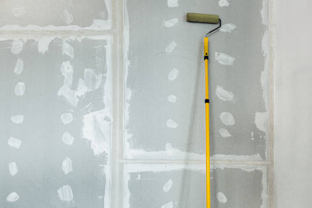 Mold Remediation for Rental Properties in Boulder Hill, IL