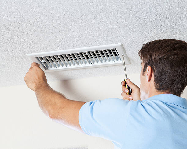 Best Commercial Mold Inspection  in Boulder Hl, IL