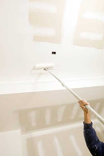 Best Dehumidification Services  in Boulder Hl, IL