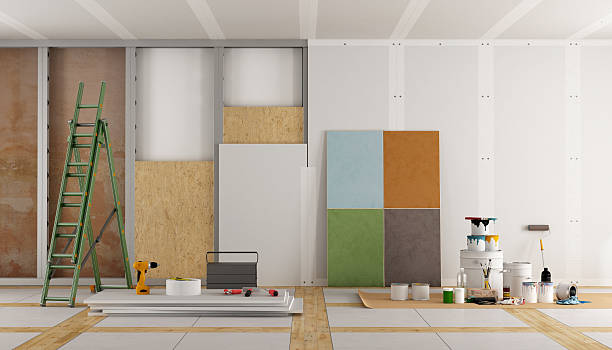 Best Mold Damage Restoration  in Boulder Hl, IL