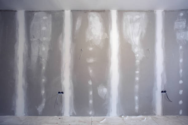 Best Basement Mold Removal  in Boulder Hl, IL