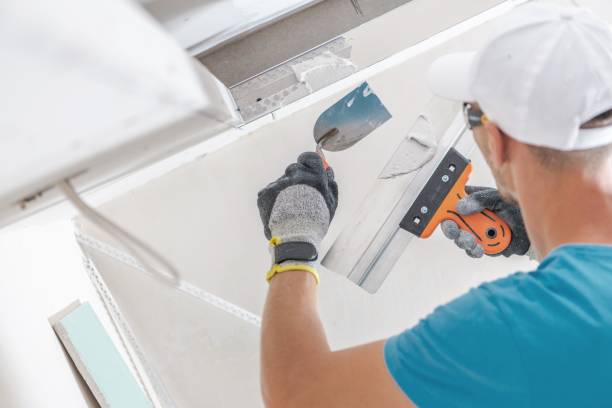 Best Emergency Mold Remediation  in Boulder Hl, IL